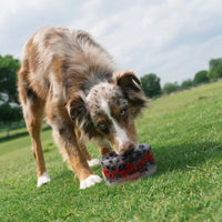 Freeze-Your-Own Dog Treat Bowl