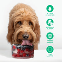 Freeze-Your-Own Dog Treat Bowl