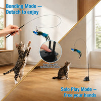 2-In-1 Interactive Cat Toy with Super Strong Suction Base, Dual Mode Hands-Free Wand & 4 Pack Colorful Feather Birds for Solo & Bonding Play