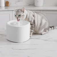 Fuente de agua para gatos
